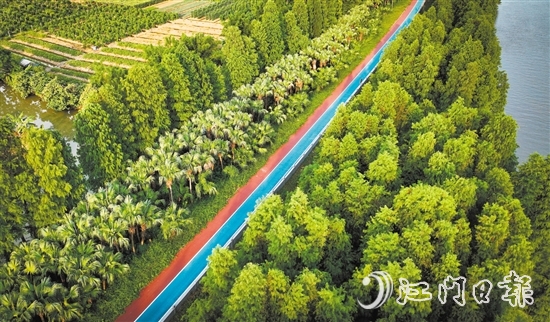 江海區(qū)鄉(xiāng)村綠廊碧帶串聯(lián)多個(gè)公園和自然景觀區(qū)，成為市民休閑娛樂的好去處。