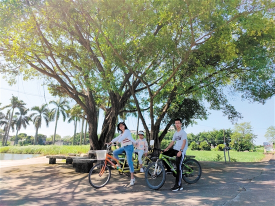 深圳游客在江門暢享“3.3精彩之旅”。