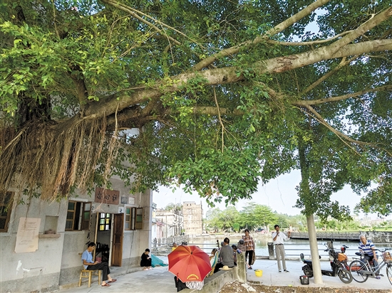 “倉(cāng)東計(jì)劃”不僅希望把遺產(chǎn)保護(hù)好，還希望傳統(tǒng)的生活方式、生活環(huán)境保留下來(lái)。