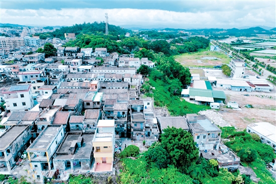 經(jīng)過改造后，鯤鵬村的舊房屋（上圖）披上具有海洋元素的“外衣”，村容村貌明顯改善。