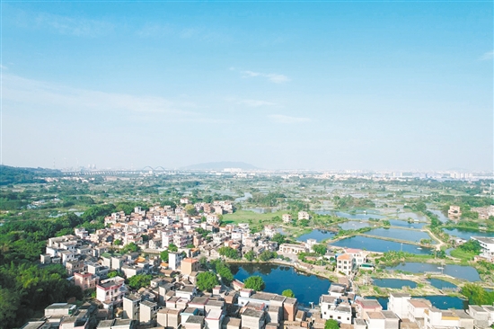 走進雙橋村，連片的?；~塘映入眼簾，隨處可見粼粼波光。