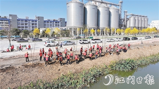 外海青年人才參與“人才林”植樹活動。