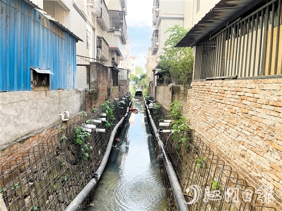 整改前的新昌明渠積存大量污水，長時間暴露后容易發(fā)黑發(fā)臭。