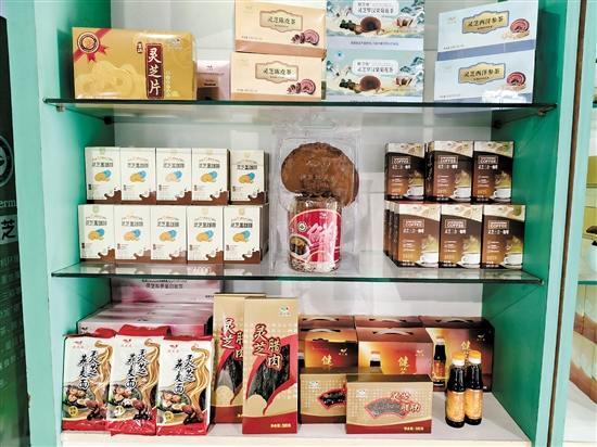 琳瑯滿目的靈芝類產(chǎn)品。