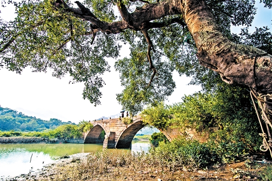 北陡鎮(zhèn)琴溪古橋。