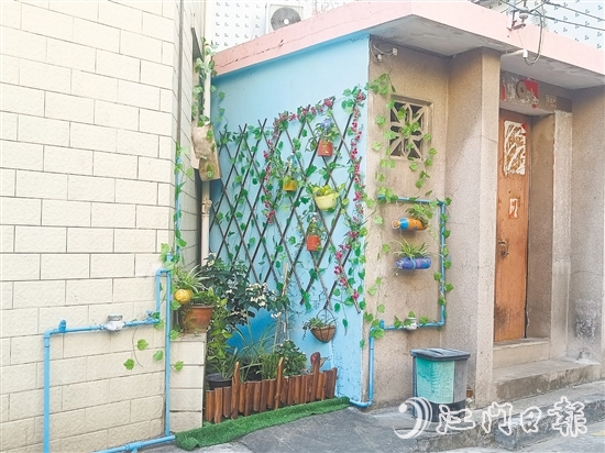 家門口的立體小花園為禾岡村注入生機(jī)與活力。