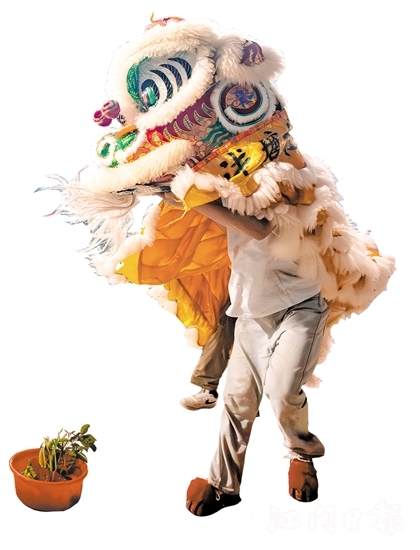 花炮會上，醒獅采青表演十分精彩。