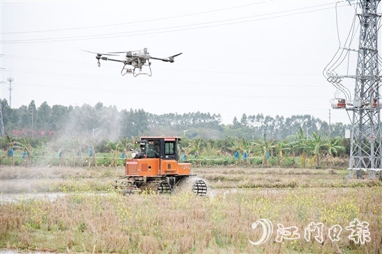 無人機(jī)、水旱耕作機(jī)協(xié)作開展春耕生產(chǎn)。