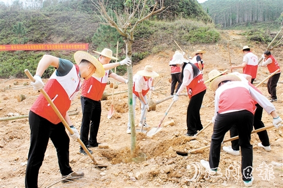 在植樹活動中，大家揮鍬培土，干勁十足，為恩平增添綠意，為全運會舉辦貢獻(xiàn)自己的力量。