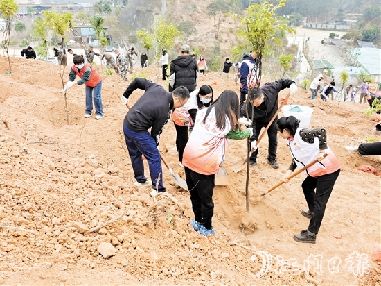 2025年蓬江區(qū)鄉(xiāng)村綠化主題植樹活動(dòng)在五洞村舉行，黨員群眾攜手種下一棵棵樹苗。