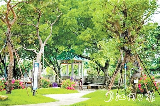 去年，鶴山開(kāi)展城鄉(xiāng)一體綠美行動(dòng)，著力推進(jìn)縣鎮(zhèn)村綠化攻堅(jiān)，累計(jì)種植苗木14.8萬(wàn)株。