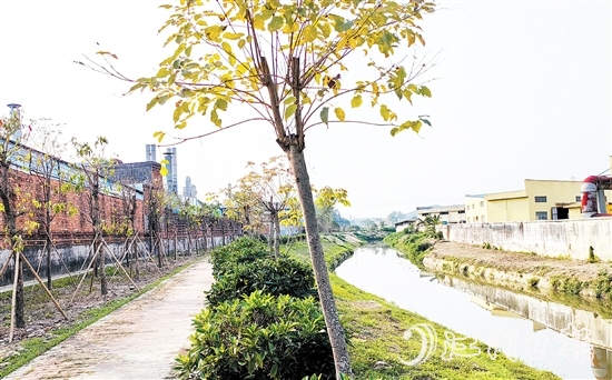 新橋水流域經(jīng)過治理后，環(huán)境大大改善。