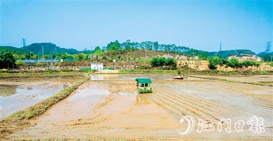 松土機(jī)、插秧機(jī)在集中連片的水田里來回穿梭。