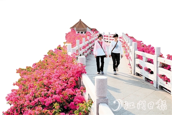 走進沙坪街道北湖公園，在九曲橋兩側，怒放的三角梅形成一條“水上花廊”。