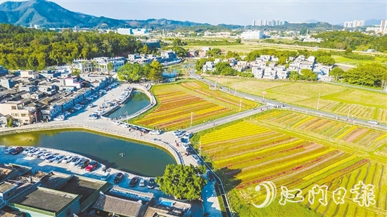 春賞格?；ā⑾挠^荷塘月、秋品稻花香、冬聞桂花釀的“全季旅游”模式，讓桂水村的知名度不斷攀升。