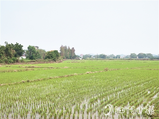 2024年，塘口新增耕地超49公頃，為鄉(xiāng)村振興注入了新動(dòng)能。