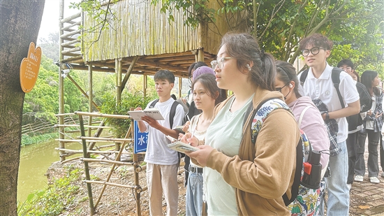 學(xué)生們?cè)诨赜^察各類植物。