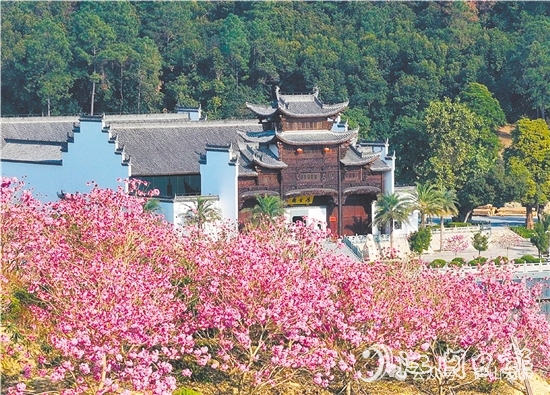 共和鎮(zhèn)來(lái)蘇村利用去年擂臺(tái)比武獲得的獎(jiǎng)勵(lì)資金進(jìn)行一系列鄉(xiāng)村建設(shè)。圖為來(lái)蘇山水人家文旅項(xiàng)目。