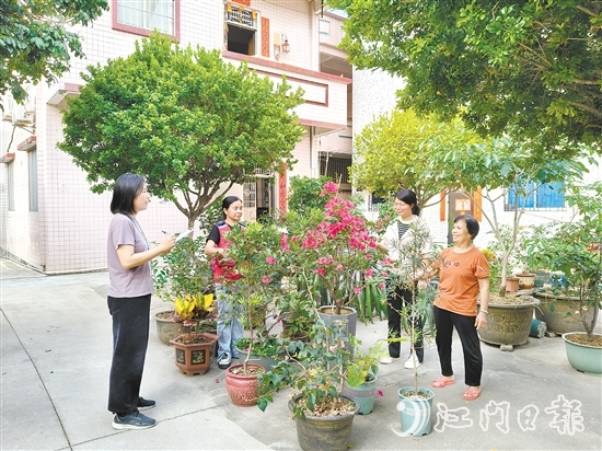 江海區(qū)鄉(xiāng)村綠化工作深入人心。圖為禮樂街道駐新華村干部、村“兩委”干部入戶開展鄉(xiāng)村綠化評(píng)分。