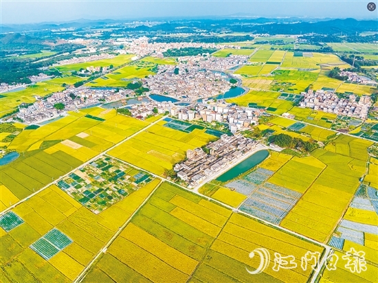 恩平土壤肥沃，富含“硒”元素，該市正努力推動讓“硒”資源轉化為富民強市的“硒”經濟。圖為恩平市牛江鎮(zhèn)。