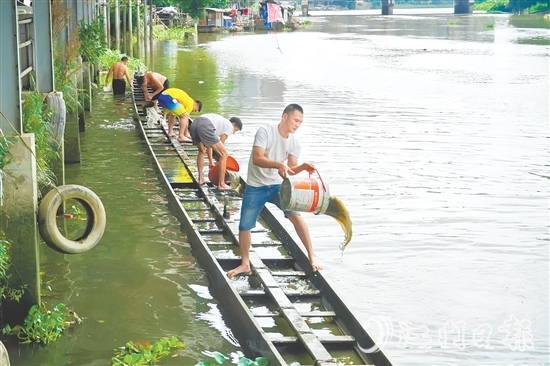 掏泥沙、舀泥漿，長沙街道愛民村委會杜澄村村民分工合作，“請”出河中的“金龍”。