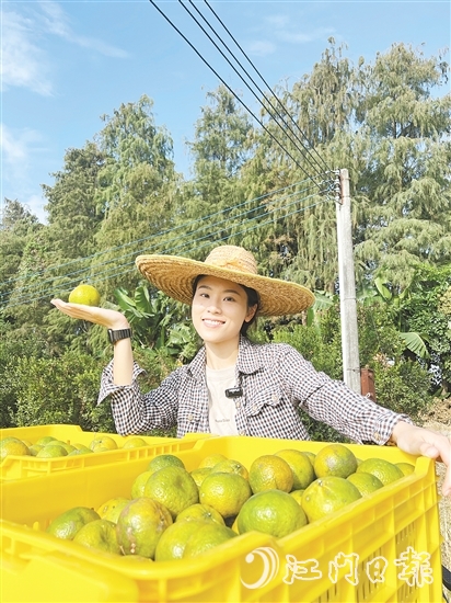 劉雪菲不斷探索新會(huì)柑種植、新會(huì)陳皮陳化倉儲(chǔ)的更多可能。
