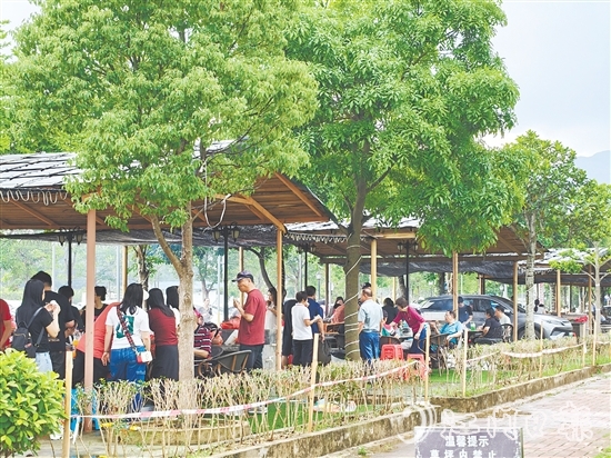 今年“五一”假期，恩平市簕菜文化創(chuàng)意園內(nèi)游人如織。