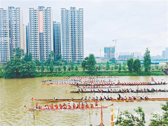 在長沙街道杜澄片區(qū)的蒼江河畔，每逢端午時節(jié)，十余艘龍舟劈波斬浪，兩岸人聲鼎沸。