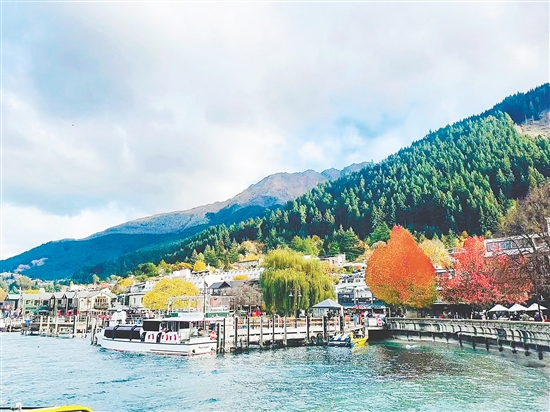 新西蘭賞秋游受到江門市民的喜愛。