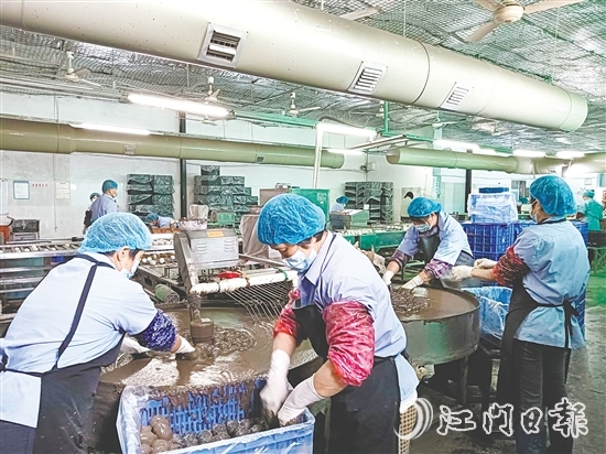 龔邊村依托本地特色農(nóng)業(yè)企業(yè)，深挖本地特色資源，強(qiáng)龍頭、補(bǔ)鏈條、樹品牌，將傳統(tǒng)手藝轉(zhuǎn)化為年產(chǎn)值超2000萬元的支柱產(chǎn)業(yè)，一枚枚咸香流油的咸鴨蛋成為富民強(qiáng)村的“金鑰匙”。