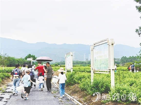 恩平市簕菜文化創(chuàng)意園打造集文旅、飲食、研學(xué)、農(nóng)耕等于一體的旅游綜合體。