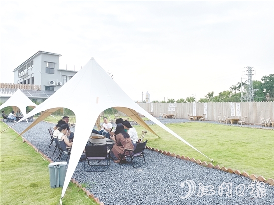 聞著稻香喝咖啡、住民宿，成為不少城市人放松身心的選擇。