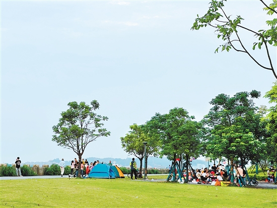 每到周末及節(jié)假日，江門各大公園及露營(yíng)地成為親子野餐露營(yíng)的首選之地。
