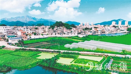 汶村鎮(zhèn)沙奇村通過深耕特色農(nóng)業(yè)、強(qiáng)化黨建引領(lǐng)、創(chuàng)新基層治理，實(shí)現(xiàn)從“臟亂差”到“綠富美”的華麗蝶變。