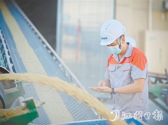 臺國糧集團以“珍香”品牌優(yōu)質(zhì)大米為核心依托，構(gòu)建起涵蓋收購、烘干、儲備、輪換，以及精深加工、品質(zhì)檢測、市場銷售的全鏈條產(chǎn)業(yè)化經(jīng)營體系。