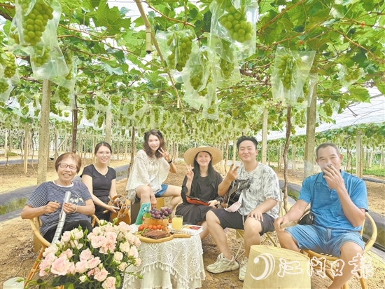 英姑葡萄園舉辦葡萄音樂會。譚鳳英