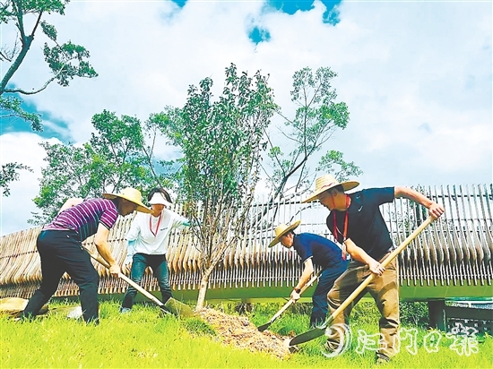 會(huì)城街道人大代表在小鳥天堂國(guó)家濕地公園種下40多株桃花樹苗。