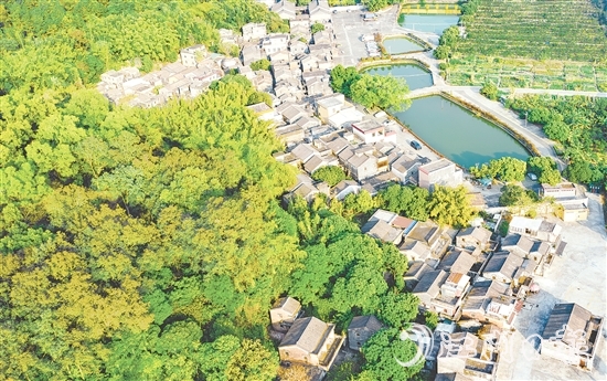 大江鎮(zhèn)石橋村華僑資源豐富，村內(nèi)有成片僑房形成的僑韻景觀。