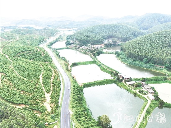 鶴山依托區(qū)位、資源、項目等核心優(yōu)勢，大力發(fā)展特色戶外運動。