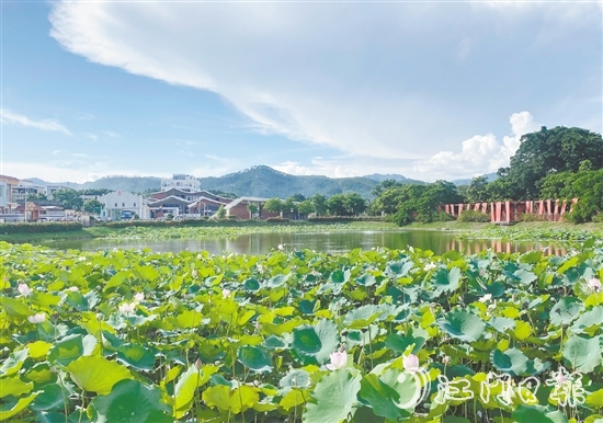 都斛鎮(zhèn)大綱村圍繞產(chǎn)業(yè)發(fā)展、人居環(huán)境、鄉(xiāng)村治理三大重點(diǎn)領(lǐng)域持續(xù)發(fā)力，打造成為區(qū)域鄉(xiāng)村振興的示范樣板。