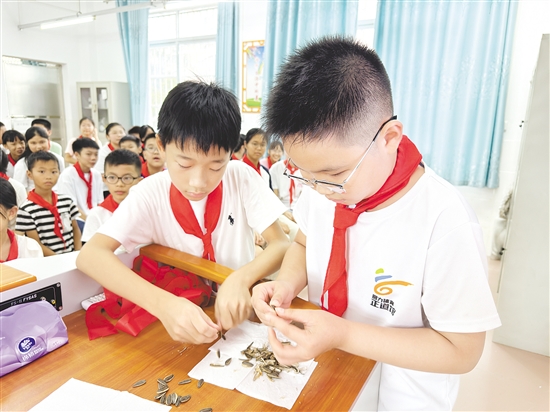 學生們兩兩配合，立即切換成“剝瓜子高手”模式。