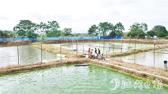 養(yǎng)殖基地毗鄰鶴城鎮(zhèn)三堡河，水源充沛，水質(zhì)優(yōu)良。