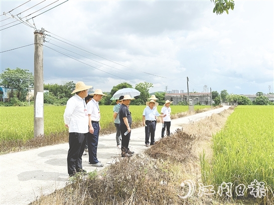 人大代表們到石青村視察典型村建設情況。