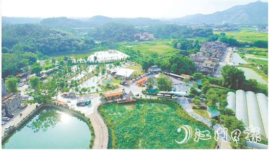 臺城街道依托“百千萬工程”，立足生態(tài)休閑旅游定位，推動(dòng)桂水村農(nóng)文旅商融合發(fā)展，培育壯大“賞花經(jīng)濟(jì)”和農(nóng)村集體經(jīng)濟(jì)。