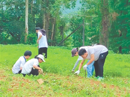 隊(duì)員們?cè)谔镩g進(jìn)行除草工作。