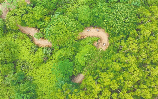 在恩平，可以一邊騎行，一邊欣賞美景。