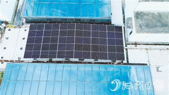 臺山市檔案館建筑屋頂上，一片深藍色的“光能矩陣”正悄然形成。