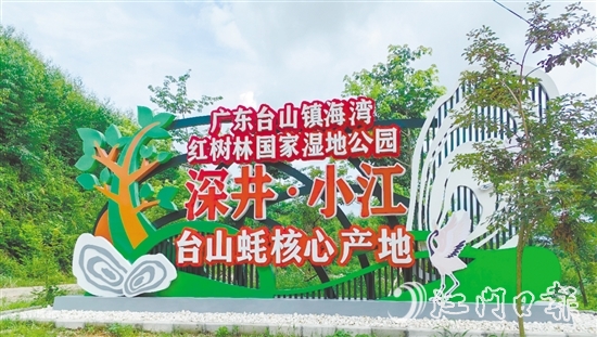 深井鎮(zhèn)小江村是國家地理標(biāo)志農(nóng)產(chǎn)品“臺山蠔”核心產(chǎn)區(qū)、蠔苗養(yǎng)殖主產(chǎn)區(qū)，也是廣東臺山鎮(zhèn)海灣紅樹林國家濕地公園東北入口。