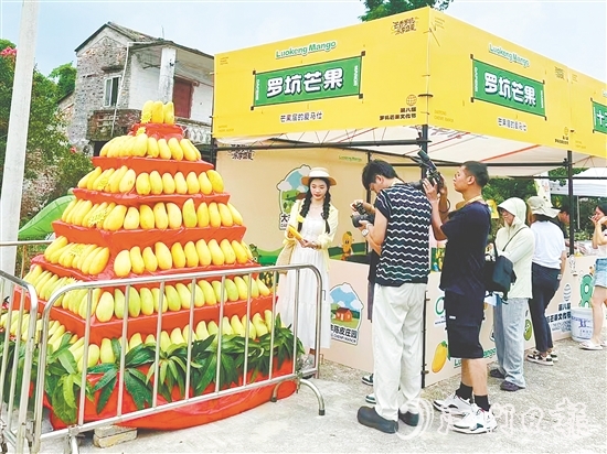 “芒果金字塔”吸引眾多游客前來打卡。