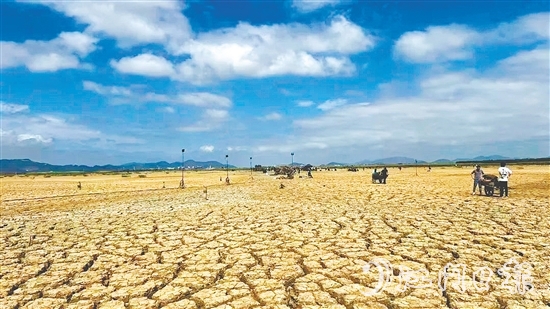 《長安的荔枝》電影劇組在銀湖灣濱海新區(qū)的取景現(xiàn)場。